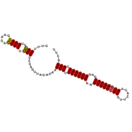 secondary structure