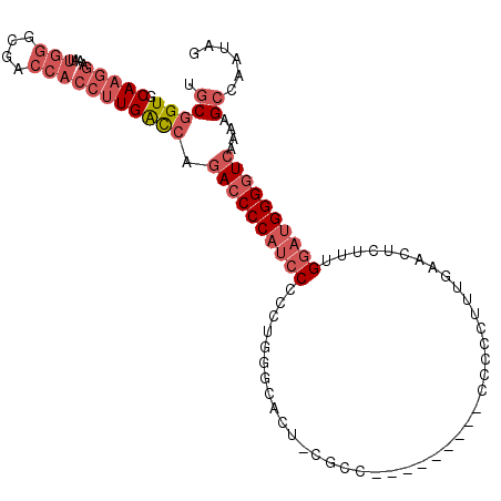 secondary structure
