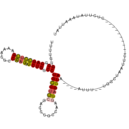 secondary structure