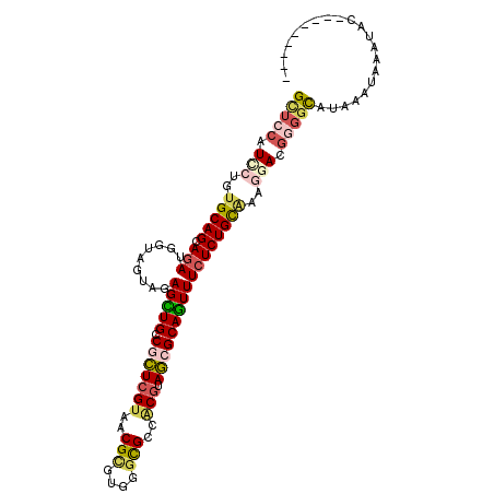 secondary structure