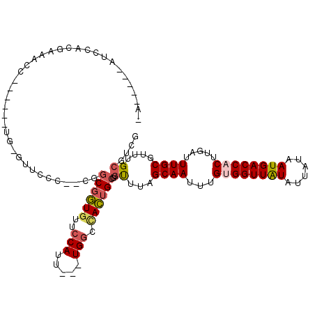 secondary structure