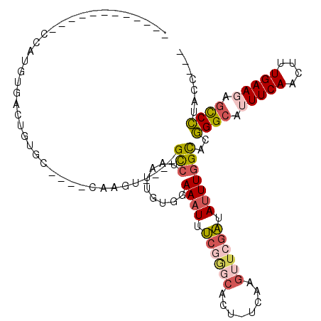 secondary structure