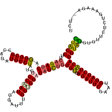 secondary structure