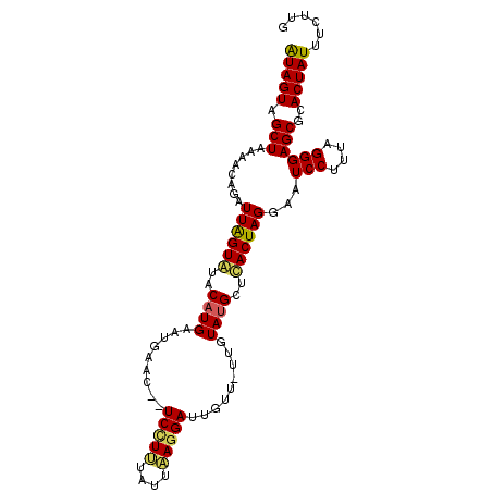 secondary structure