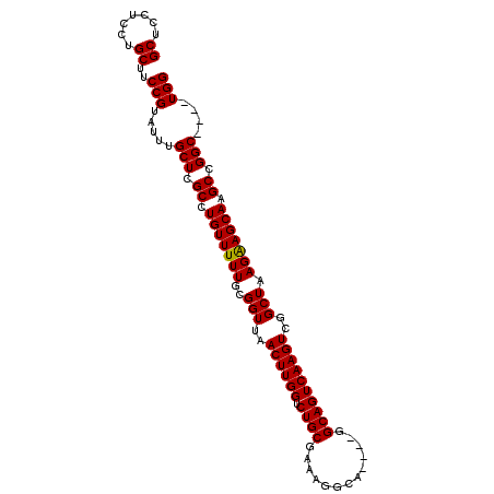 secondary structure