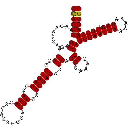 secondary structure