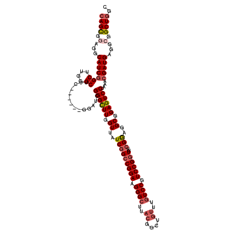 secondary structure