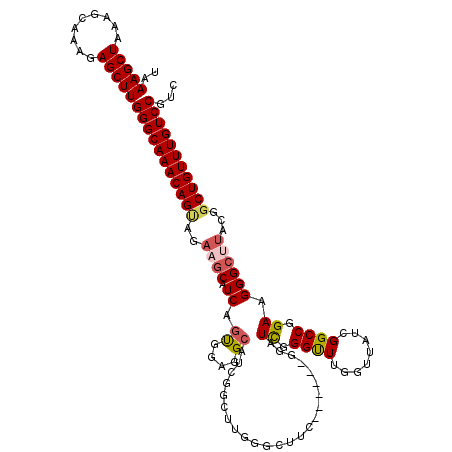 secondary structure