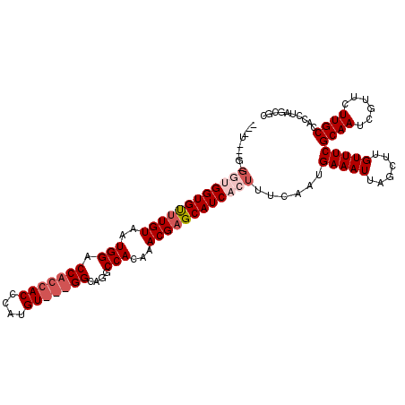 secondary structure