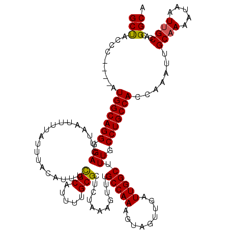 secondary structure