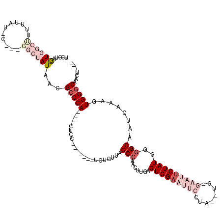 secondary structure