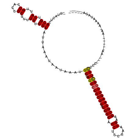 secondary structure