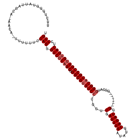 secondary structure