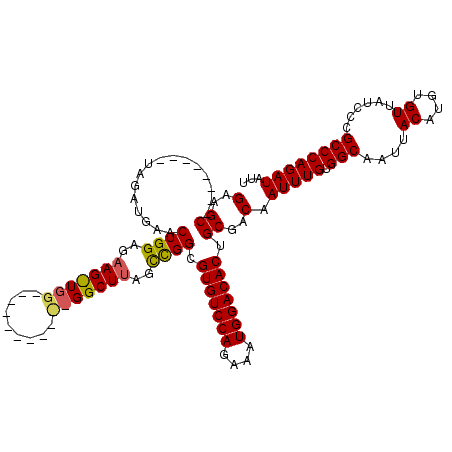 secondary structure