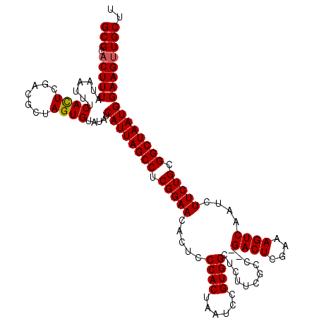 secondary structure