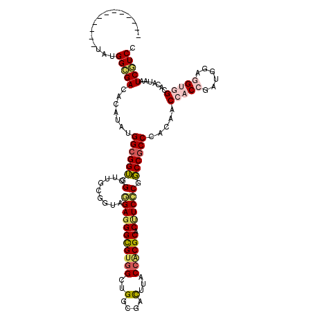 secondary structure