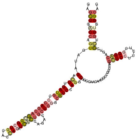 secondary structure