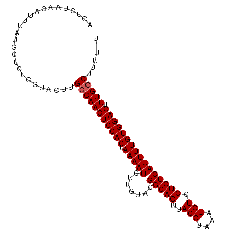 secondary structure
