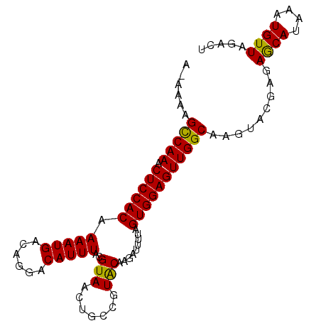 secondary structure