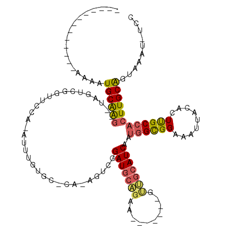 secondary structure