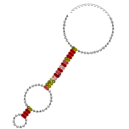 secondary structure