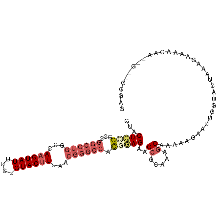 secondary structure