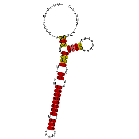 secondary structure