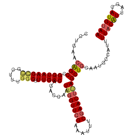 secondary structure