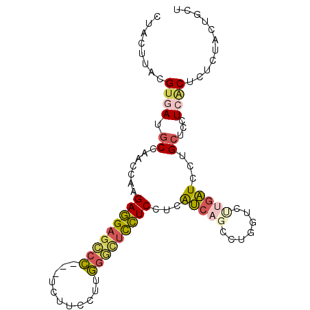 secondary structure
