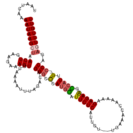 secondary structure