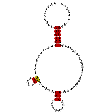 secondary structure