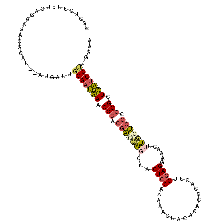 secondary structure