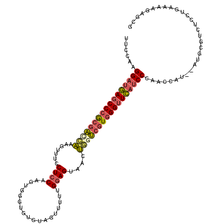 secondary structure
