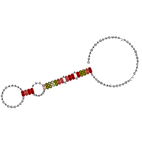 secondary structure