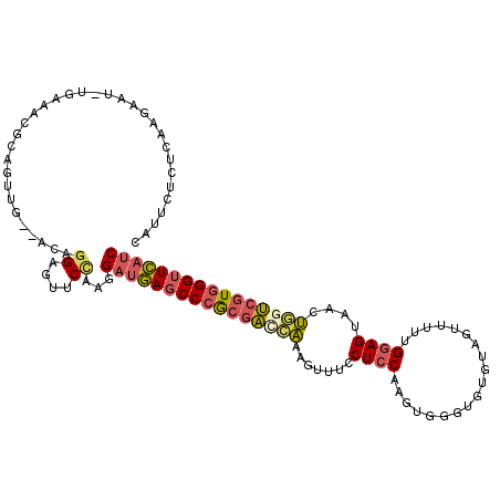 secondary structure