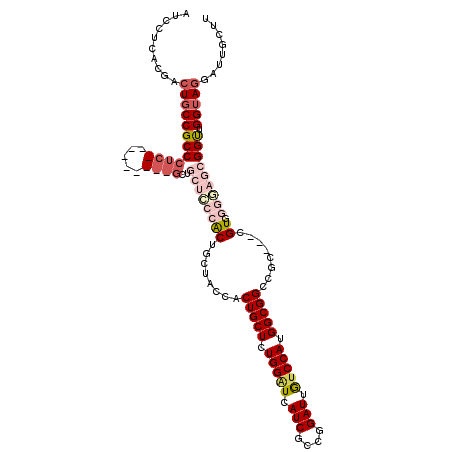 secondary structure