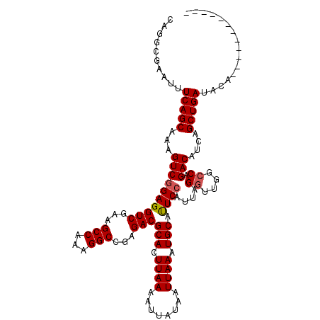 secondary structure