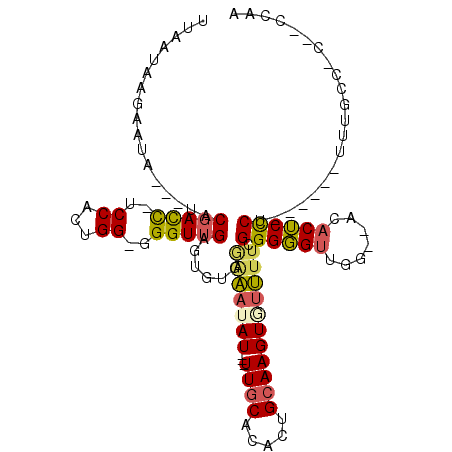 secondary structure