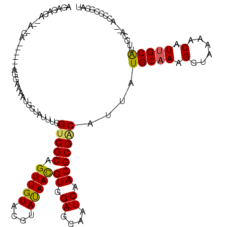 secondary structure