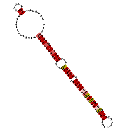 secondary structure