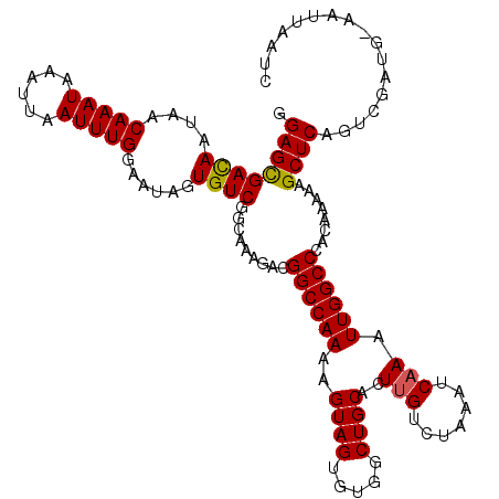 secondary structure