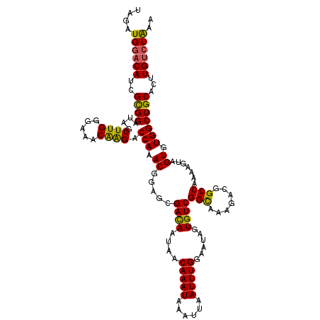 secondary structure