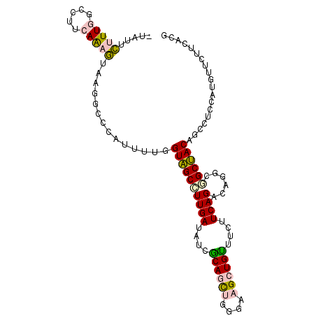 secondary structure