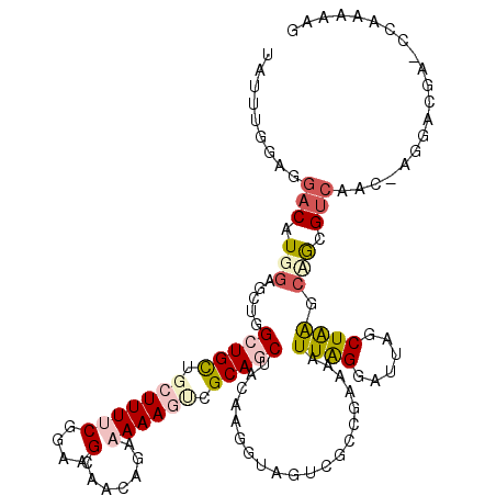 secondary structure