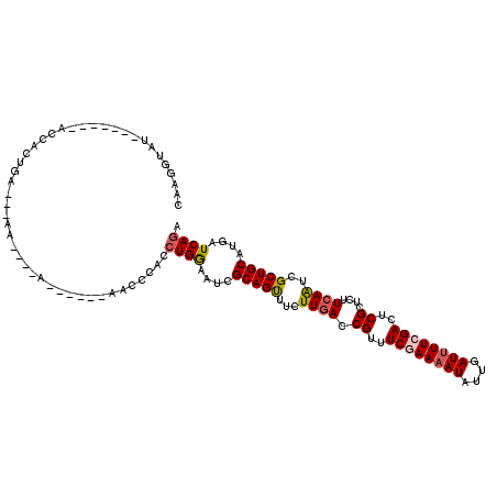 secondary structure