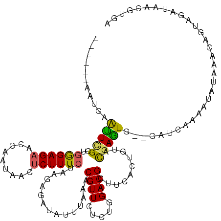 secondary structure