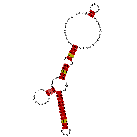 secondary structure