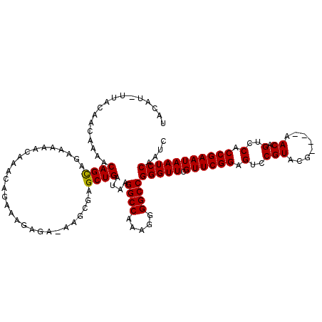secondary structure