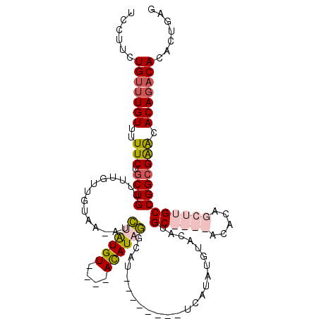 secondary structure
