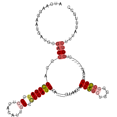 secondary structure